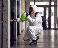 Best Environmental Consulting for Mold Prevention  in Nowthen, MN